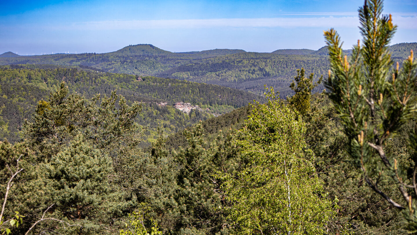 Weites Panorama vom Hühnerstein über den Pfälzerwald.
