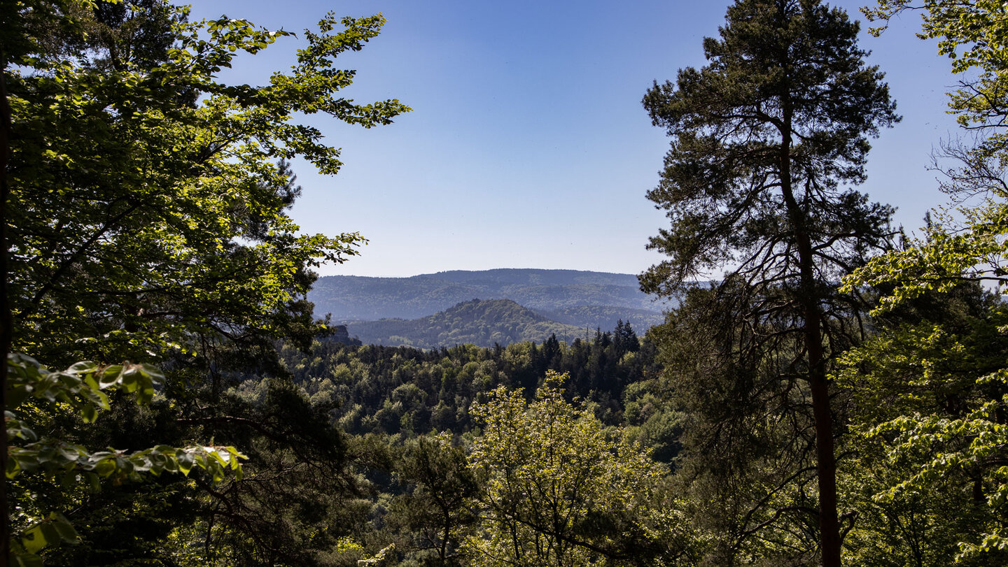 Fernblick am Hahnenstein – Kiefern, Laubbäume und die Höhenzüge des Wasgaus.
