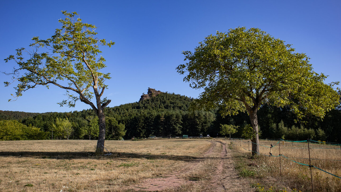 Streuobstwiesen und Feldweg – der Haselstein thront über Oberschlettenbach.