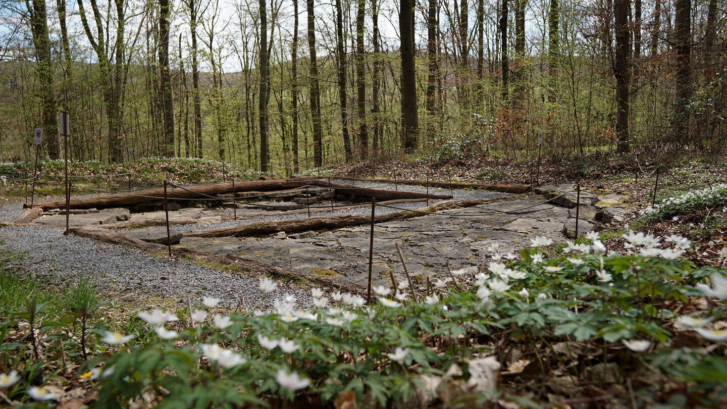 Fußabdrücke des Chirotheriums im Außengeotop bei Euerdorf