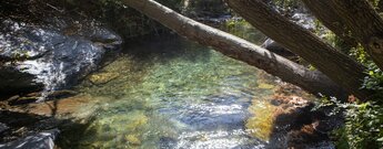 Río Genil mit grün schimmernden Wasser im Nationalpark Sierra Nevada