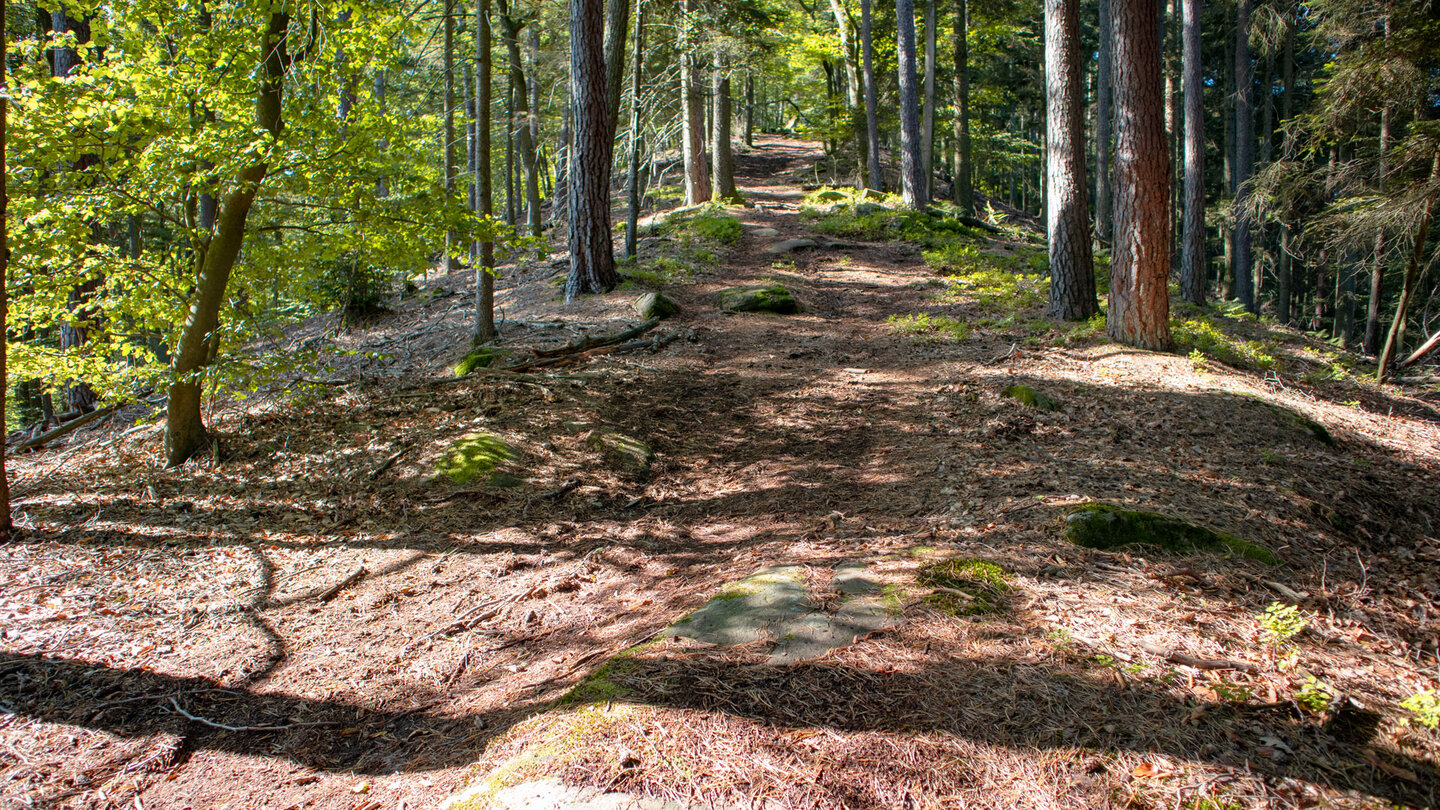 Wanderung auf dem Deutsch-Französischen Burgenweg zum Schlüsselfels