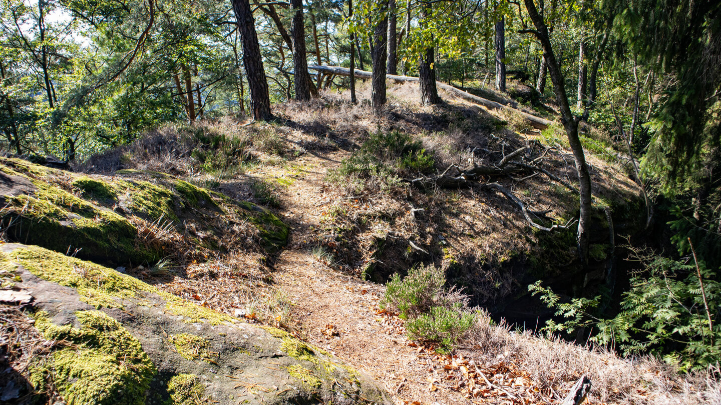 Wanderpfad auf dem Felsplateau des Schlüsselfels Wanderpfad auf dem Felsplateau des Schlüsselfels
