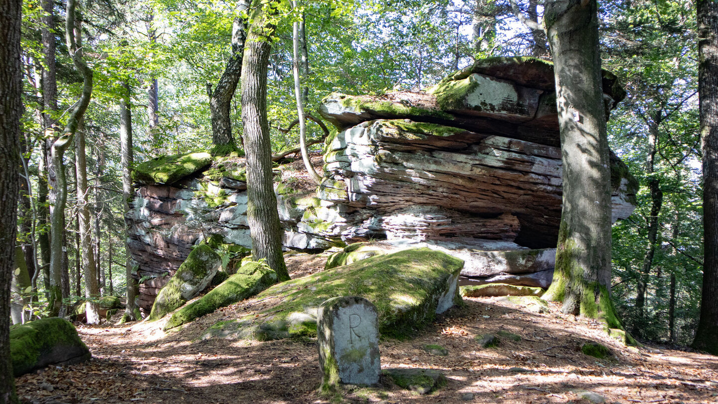 Sandsteinfels am Schwobberg