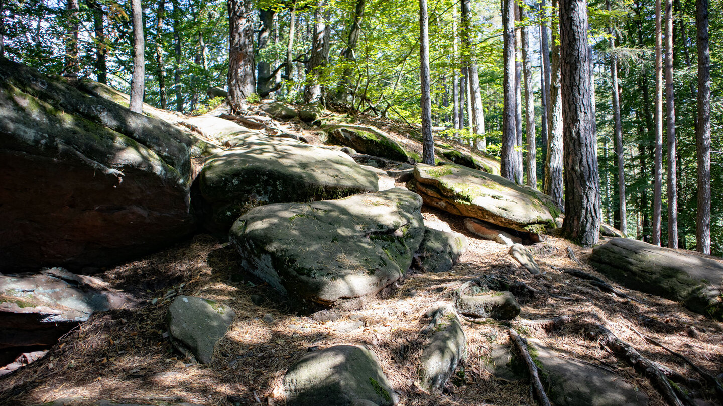 Aufstiegsroute über den Felsensteig