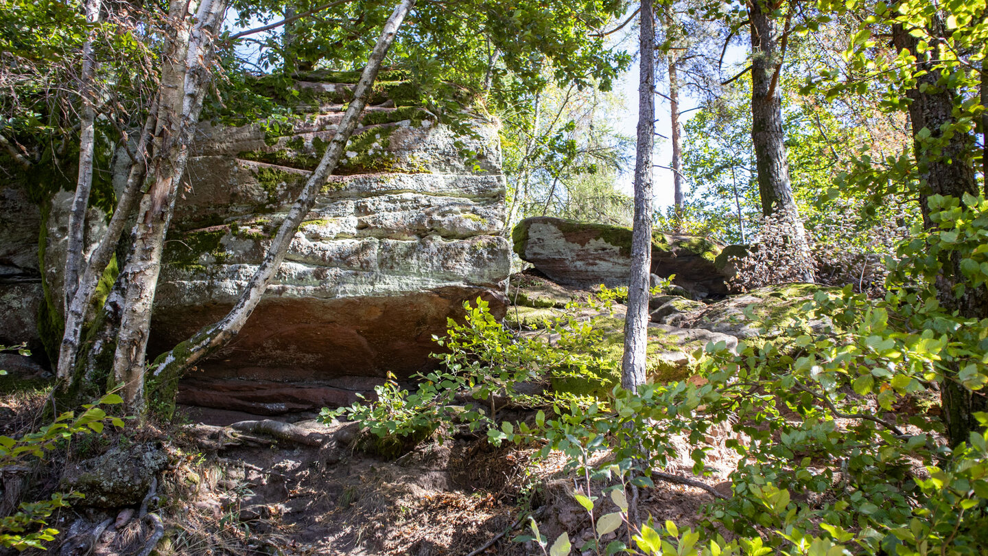 steiler Wanderweg vom Krappenfelsen auf die Burg Loewenstein