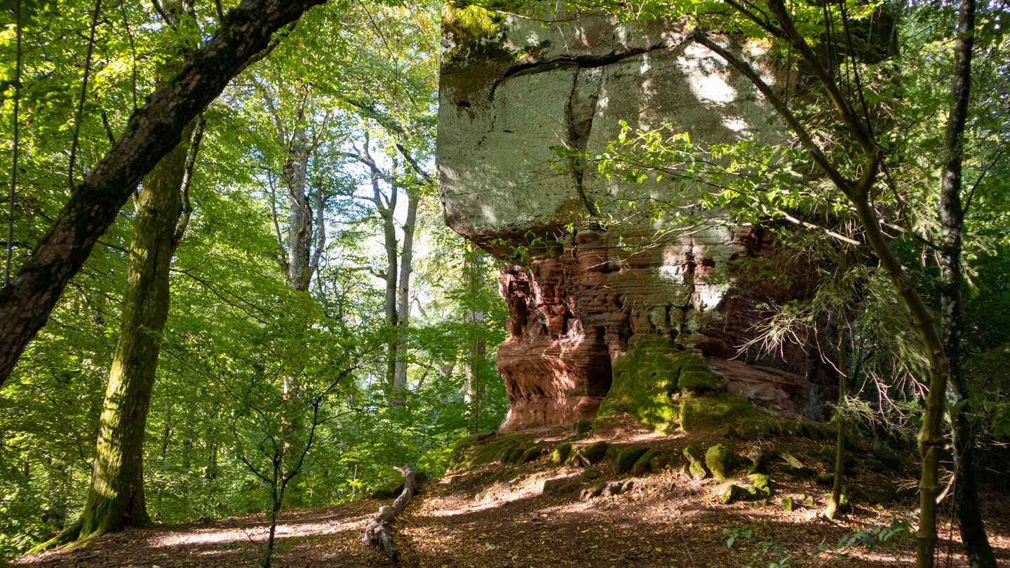 der Sandsteinfels Krötenstuhl