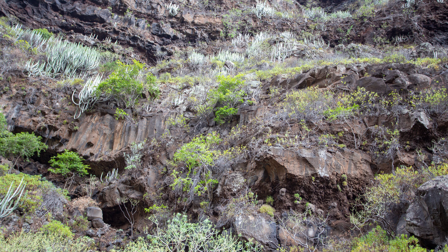 Gesteinsschichtungen an den steilen Wänden der Schlucht Gesteinsschichtungen an den Wänden der Schlucht