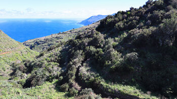 Ausblick von Don Pedro Richtung El Tablado