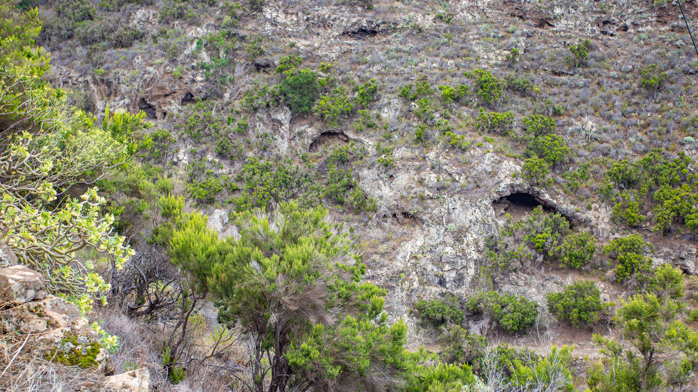 Höhlenformationen an den Wänden des Barranco Domingo Díaz Höhlenformationen im Barranco Domingo Díaz