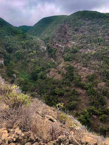 Blick über die Schlucht zur Inselmitte