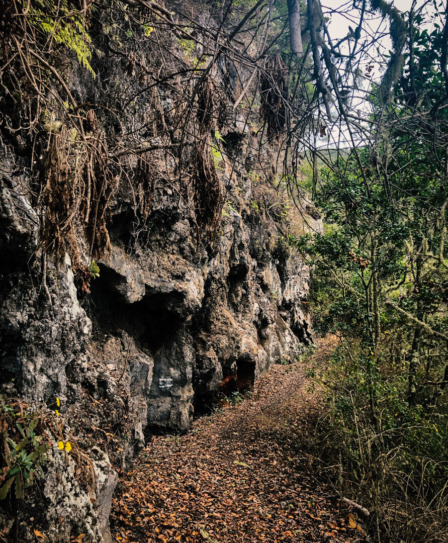 Wanderpfad am Fuß einer Felswand