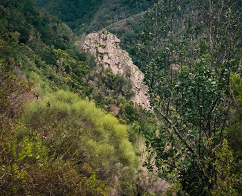 imposante Basaltwand in der Schlucht