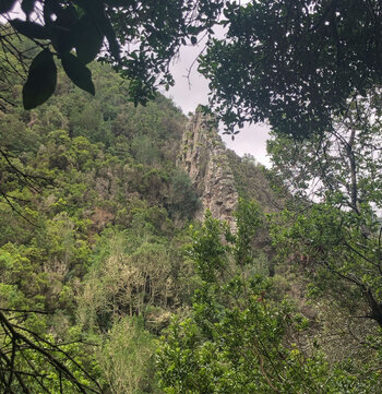 Basaltwand in der Schlucht Barranco La Magdalena