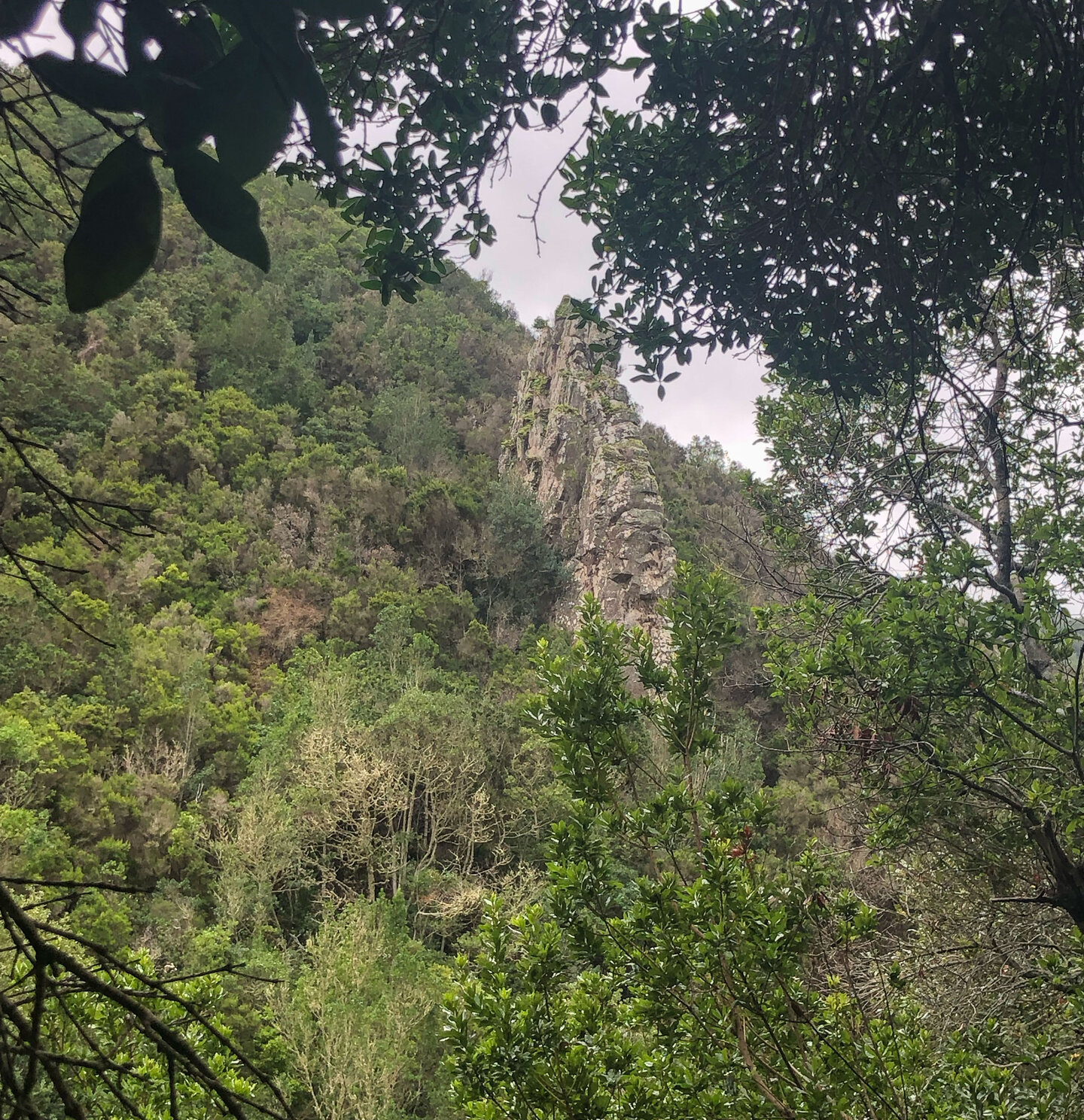 freistehende Basaltwand in der Schlucht Barranco La Magdalena Basaltwand in der Schlucht Barranco La Magdalena