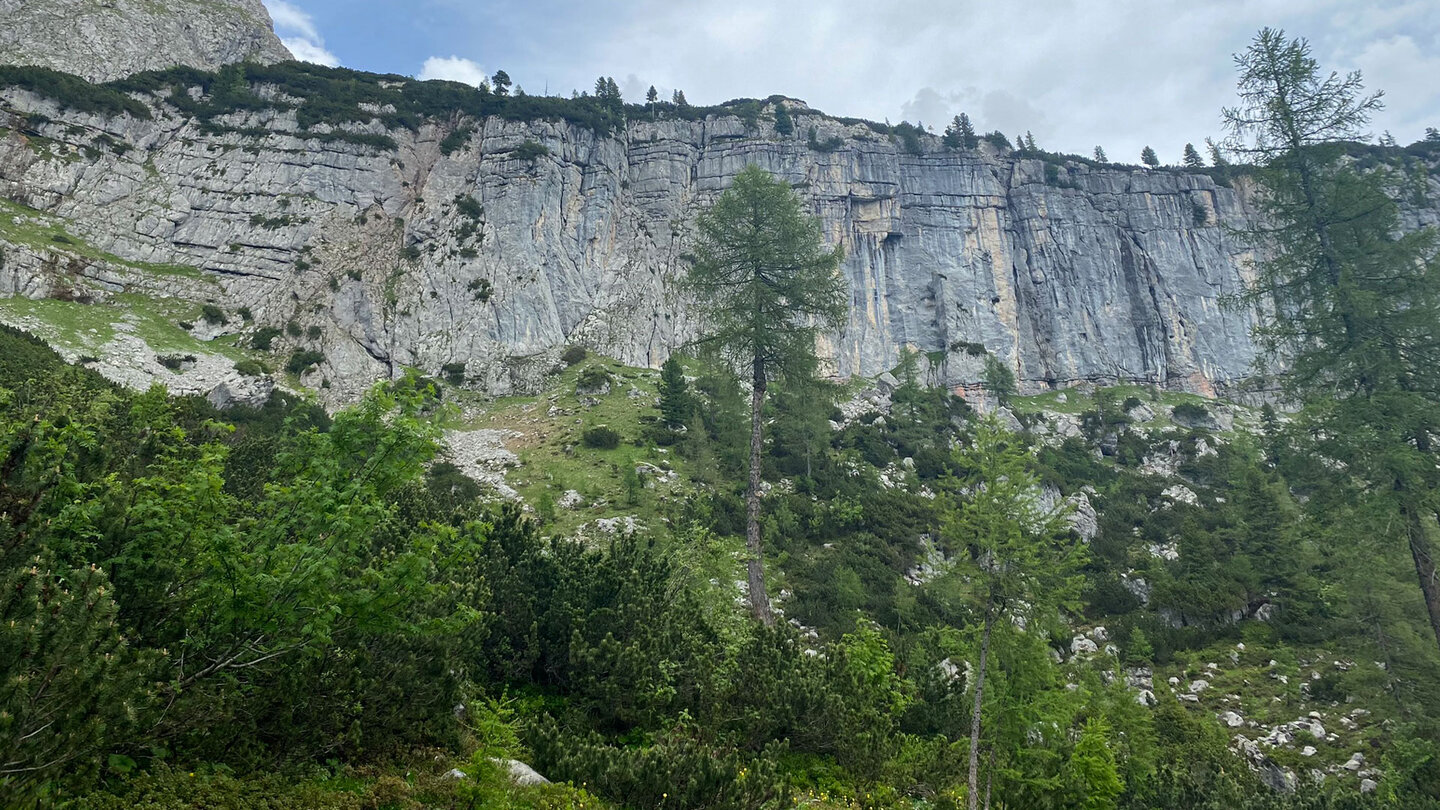 Blick hinauf zur fast hundert Meter hohen Mitterkaserwand Blick hinauf zur Mitterkaserwand