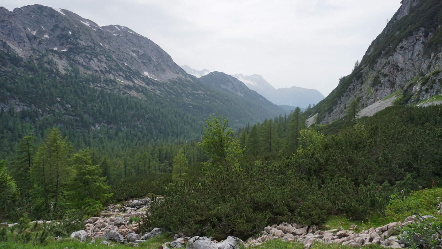 Talblick auf der Wanderung Talblick auf der Wanderung