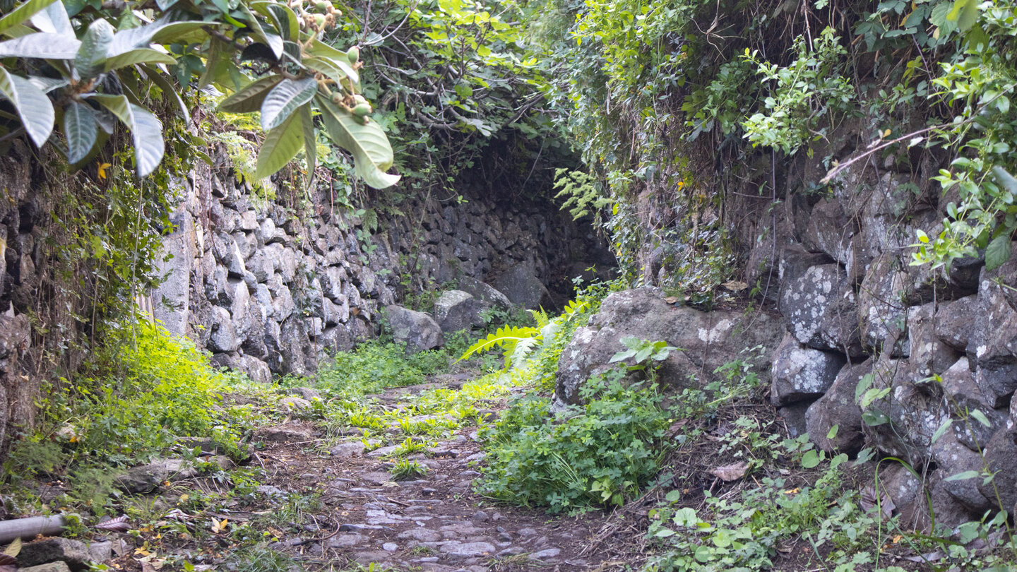 von Steinmauern eingefasster Wanderweg nach Cuevas Negras