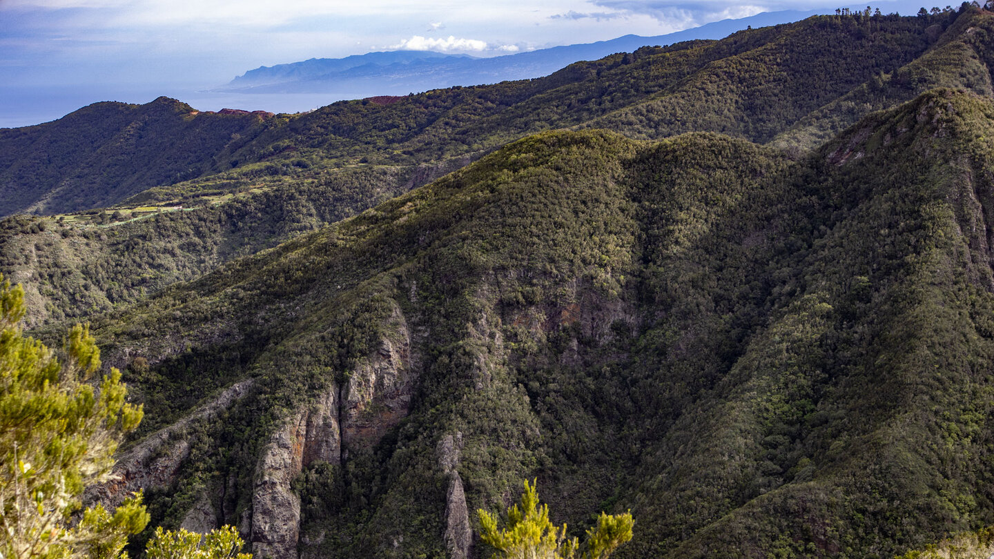 Ausblick über die Schluchten im Monteverde mit der Nordküste der Insel Teneriffa im Hintergrund