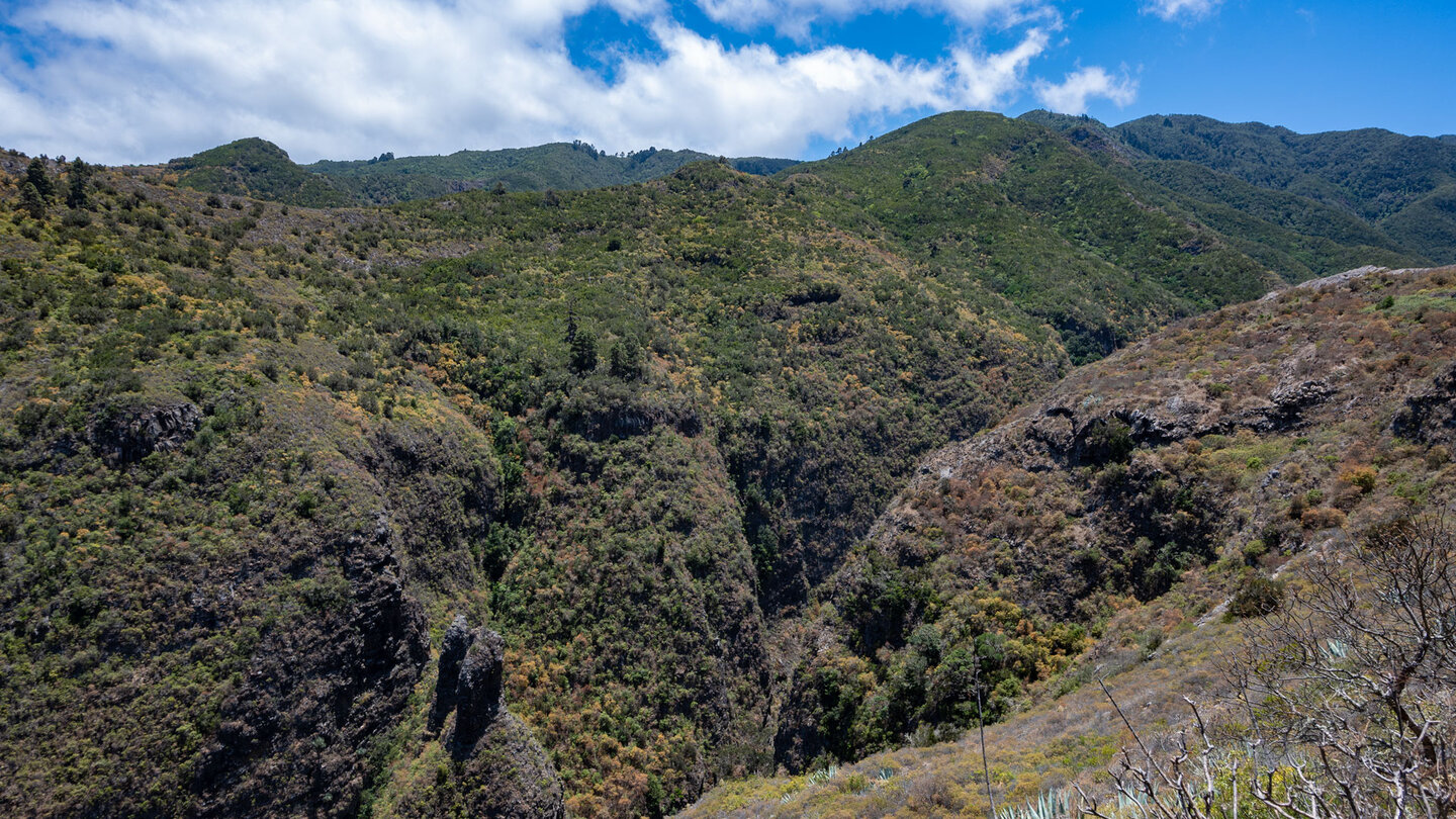 Felsspitzen ragen aus der engen Schlucht im Monte del Agua