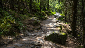 Wanderweg auf die Hornisgrinde