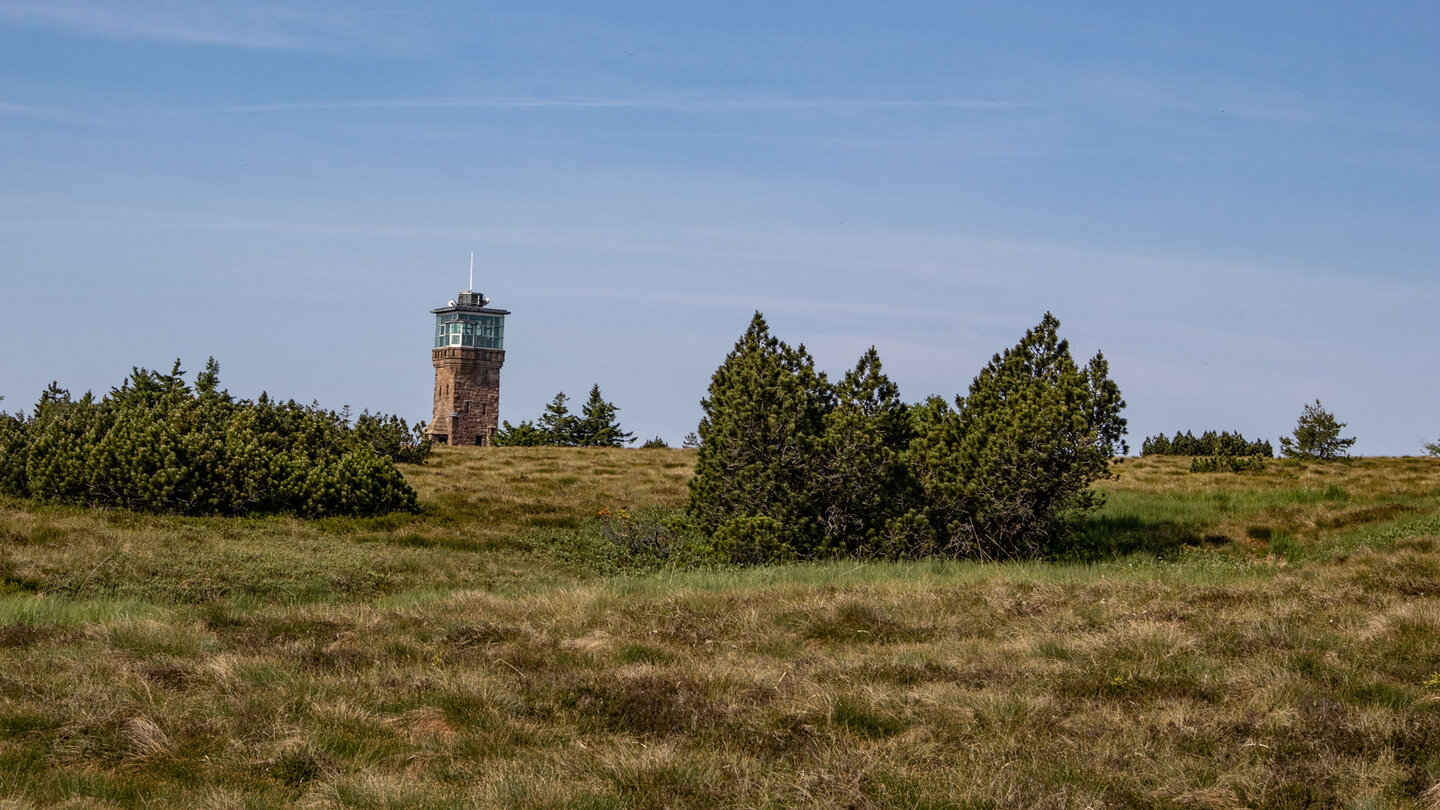 Blick zum Hornisgrindeturm