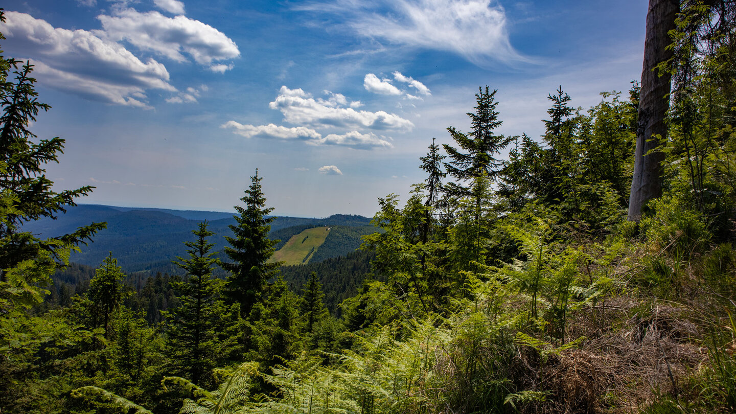 Ausblick auf den Nördlichen Schwarzwald vom Fernwanderweg Seensteig