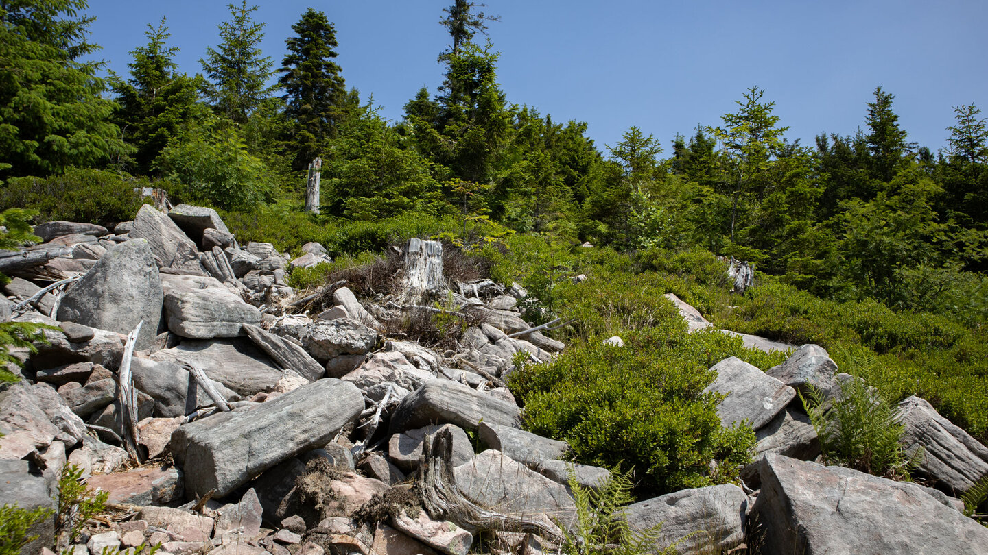 Geröllhalden entlang des Wanderweges