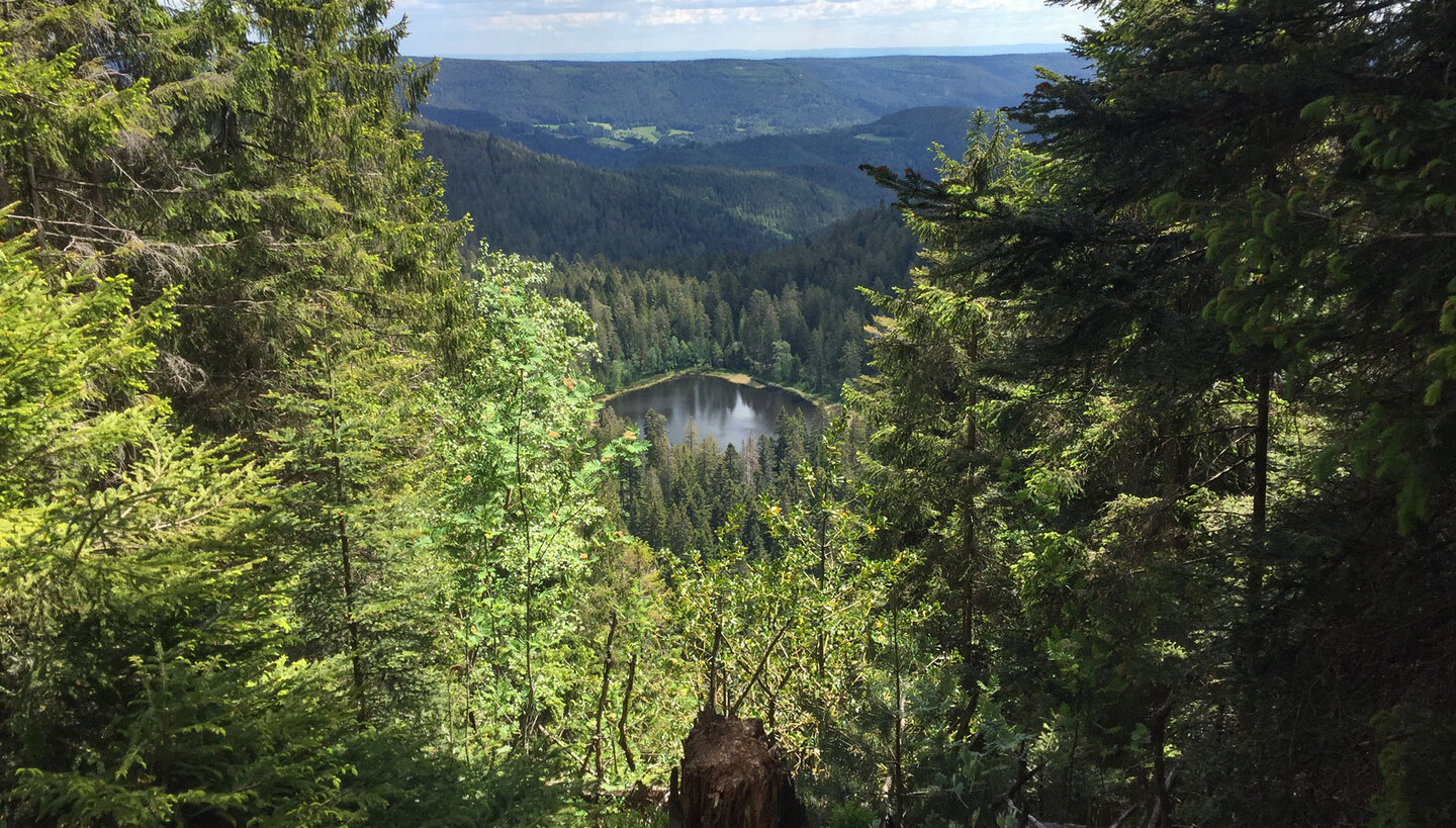 der Schurmseeblick an der Schurmseehöhe