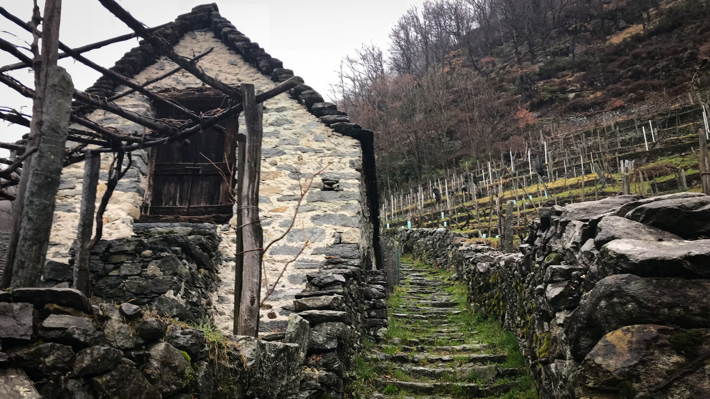 die Wanderung beginnt mit Steinstufen am Rand des Ortes Maggia Steinstufen am Rand des Ortes Maggia