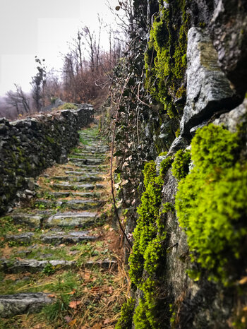 alte Schichtmauern bei Maggia