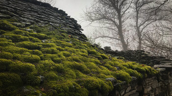 steingedecktes Dach eines Rustici