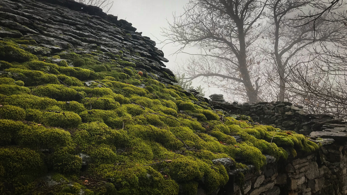 steingedecktes Dach eines Rustici steingedecktes Dach eines Rustici