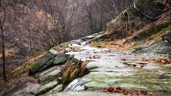 Bachlauf fließt über den Wanderweg