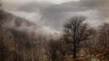Ausblick in das Valle Maggia