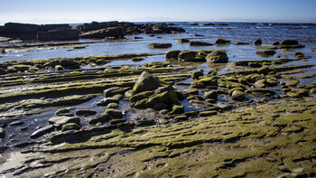 rutschige und glitschige Felsformationen am Wanderweg