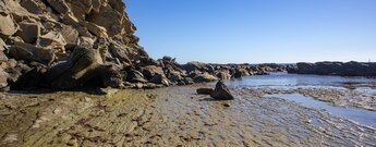 des Sendero Colada de la Costa folgt der Küstenlinie mit Abstechern zu den Felsen im Meer