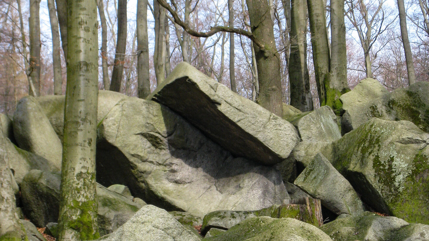 das Felsenmeer in Reichenbach-Lautertal