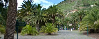 der Eingangsbereich des Jardín Canario auf Gran Canaria