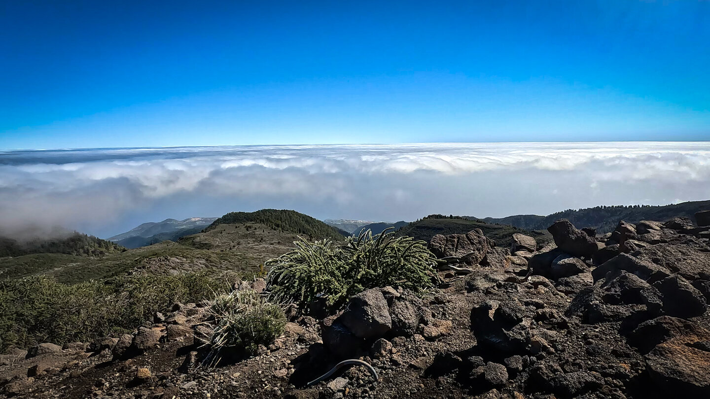 Ausblick vom Pico de la Cruz zur Ostküste