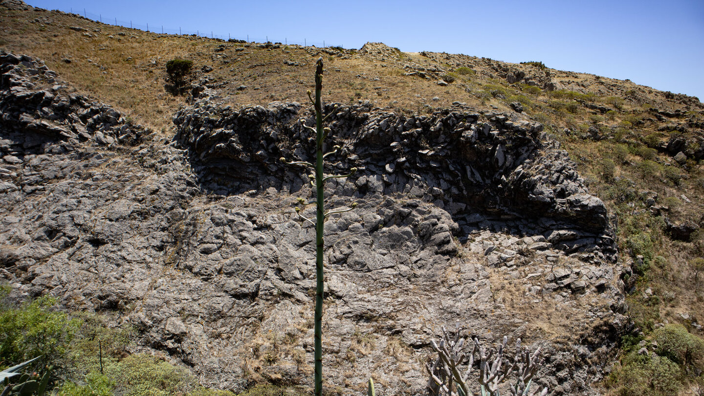 Felsformationen in der Cuevas-Schlucht