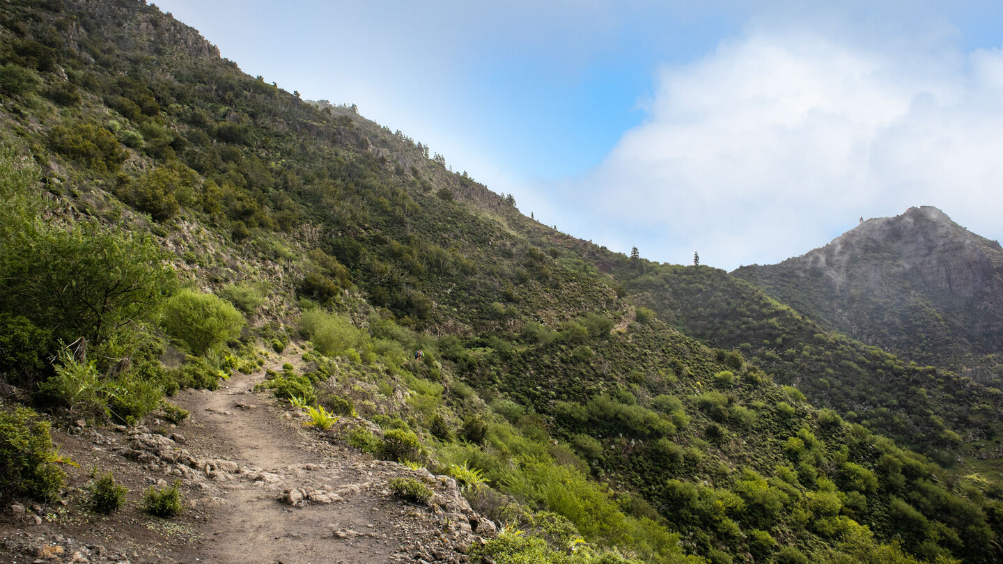 Wanderweg mit Blick auf den Risco Verde