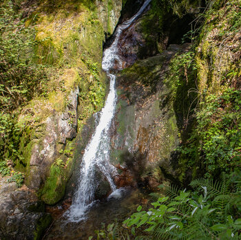 Gottschlägerbach fällt über mehrere Stufen bei den Edelfrauengrab Wasserfällen