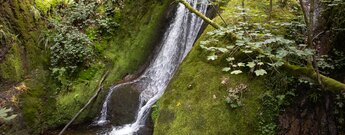 bemooste Felsen bei den Edelfrauengrab Wasserfällen
