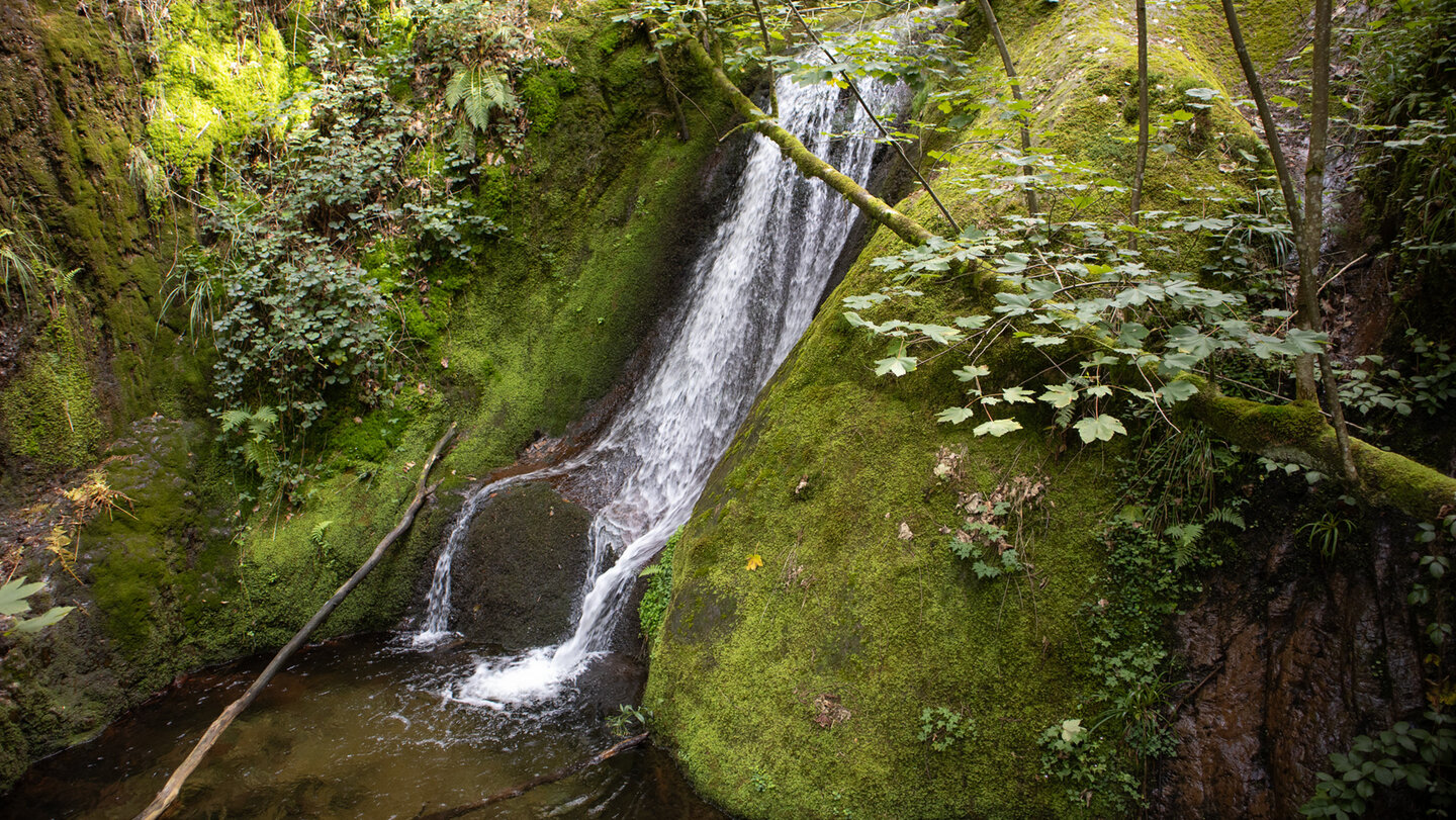 bemooste Felsen bei den Edelfrauengrab Wasserfällen