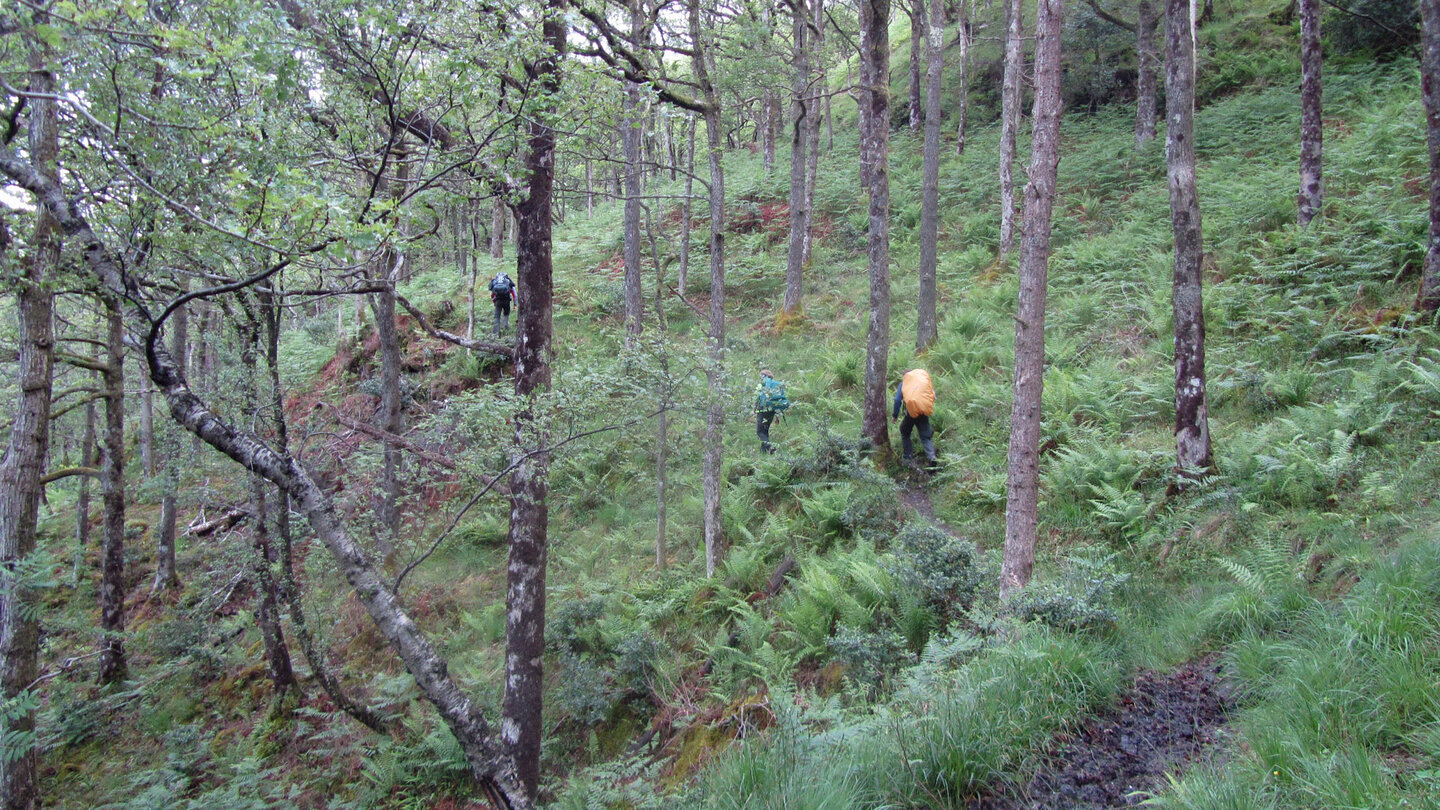 Weg am Ufer des Loch Lomond
