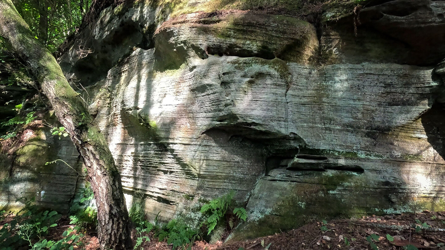 Hinterer Rappenkopffelsen am Rodalber Felsenwanderweg