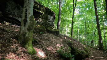 Buntsandsteinfelsen am Rodalber Felsenwanderweg