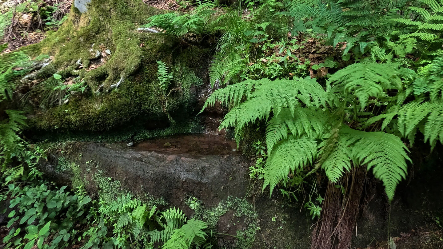 Wasserbecken am Zigeunerbrunnen bei Rodalben