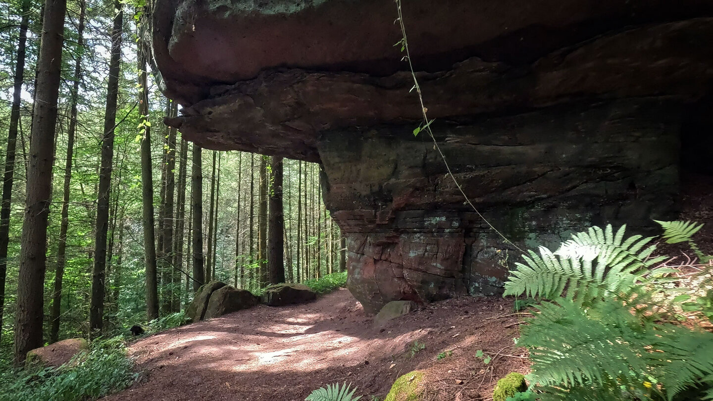 Felsdach am Pilzfelsen bei Rodalben